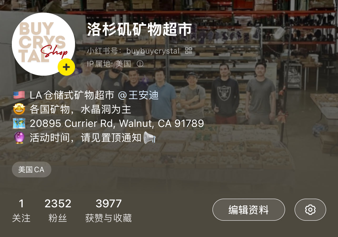 【全美包邮】小红书直播付款链接