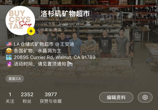 【全美包邮】小红书直播付款链接
